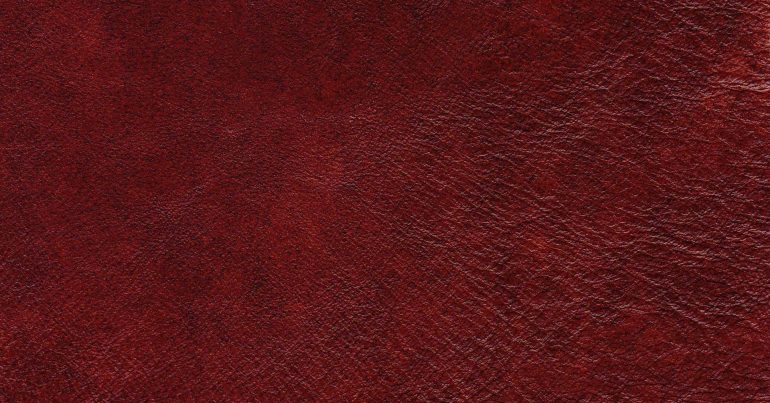 ΔΕΡΜΑ ΤΑΜΠΑ Νο S 765